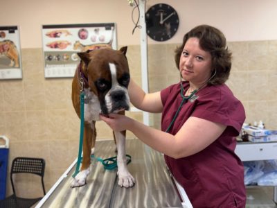 Добрый доктор Айболит