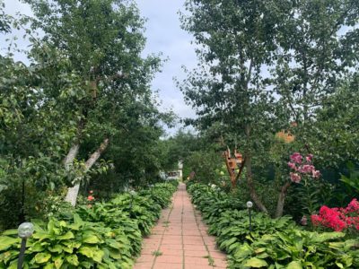 На 5 градусов теплее, чем вчера