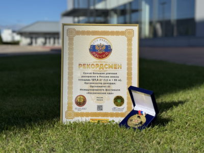 Калужская уличная раскраска стала рекордсменом России