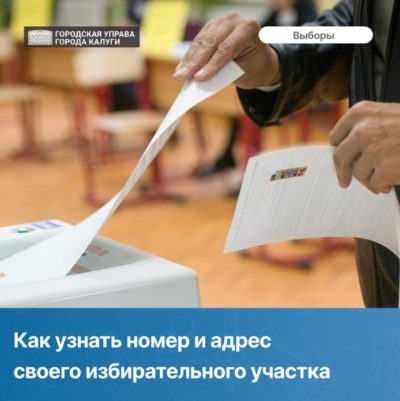 Как узнать номер и адрес своего избирательного участка