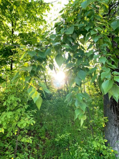 Сохраним природу вместе