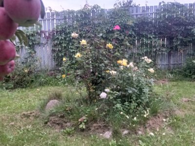 Не упуская ничего из виду Не упуская ничего из виду