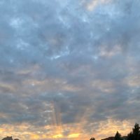 В Калуге ожидается облачная погода с прояснениями до +6°C