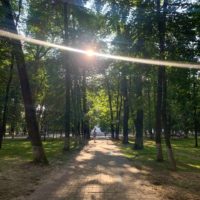 В Калуге воздух прогреется до +30