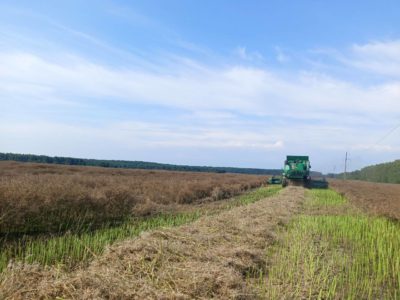 Калужская область наращивает агропромышленный потенциал