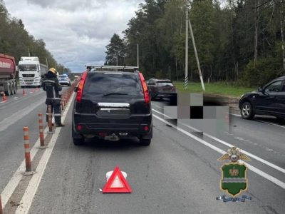 В Калужской области насмерть сбили женщину на «зебре» В Калужской области насмерть сбили женщину на «зебре»