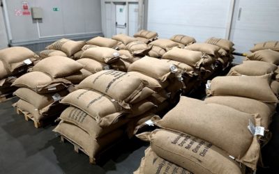 В Калужской области завершен фитосанитарный контроль крупной партии импортной продукции