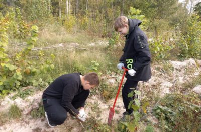Юннаты высадили 2,4 тысячи елей в Калужской области