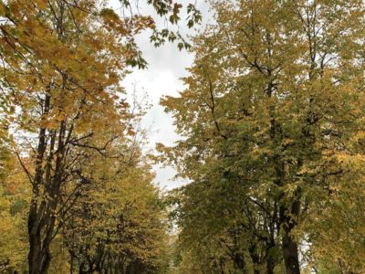 Погода в Калуге