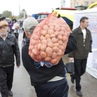 В Калужской области подешевели картошка и капуста