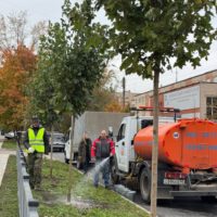 Озеленение продолжится на восьми улицах Калуги