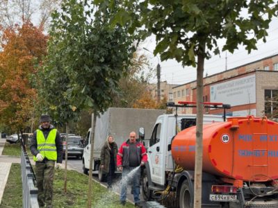 Озеленение продолжится на восьми улицах Калуги Озеленение продолжится на восьми улицах Калуги