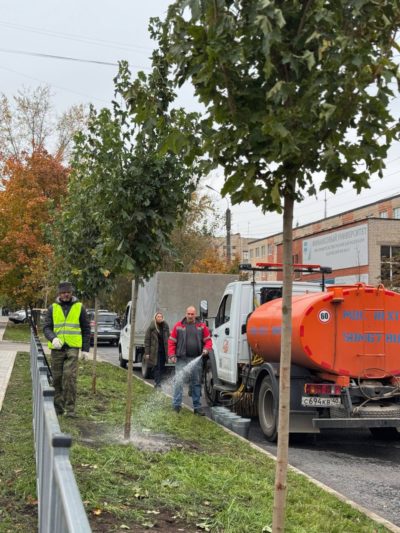 Озеленение продолжится на восьми улицах Калуги