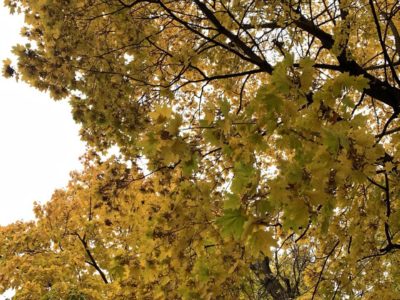 В Калуге немного потеплело