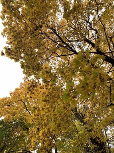 В Калуге немного потеплело