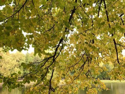 Облачно с прояснениями Облачно с прояснениями