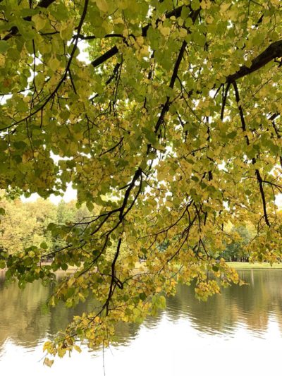 Облачно с прояснениями