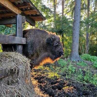 Нацпарк «Угра» получил грант Президентского фонда природы