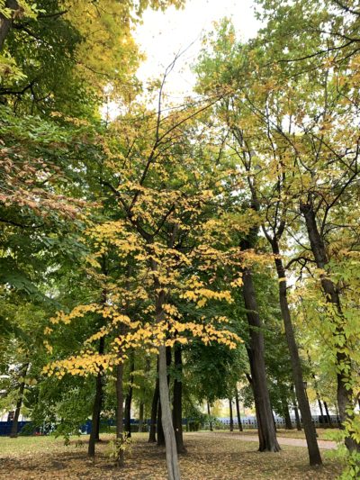 Облачная погода