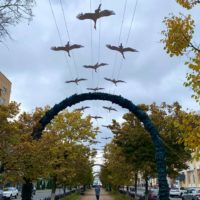 В Калуге облачно и дождливо 