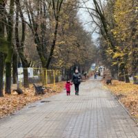 Театральную и улицу Чичерина избавят от «соплей»