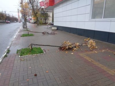 Юным калужским вандалам предложили явиться с повинной Юным калужским вандалам предложили явиться с повинной