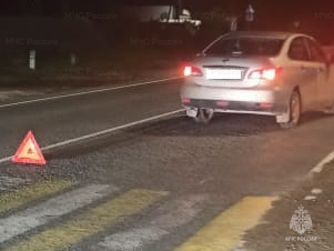 Женщина с ребенком попала под колеса машины на «зебре»