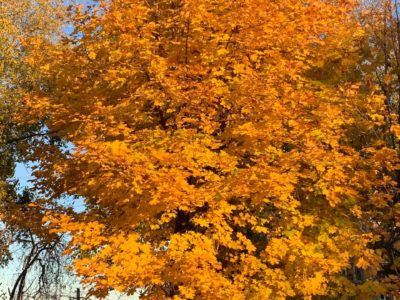 Погода в Калуге