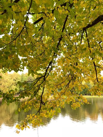 Погода в Калуге