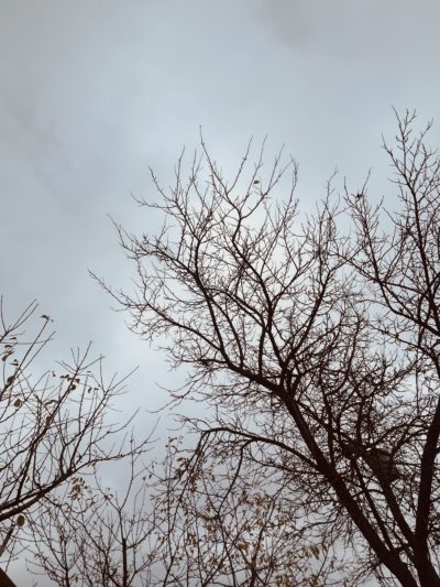 Синоптики прогнозируют калужанам дождливые выходные