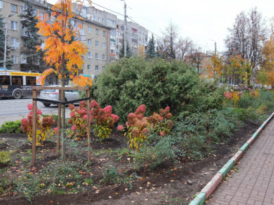 Зелёный город: разбор полётов Зелёный город: разбор полётов