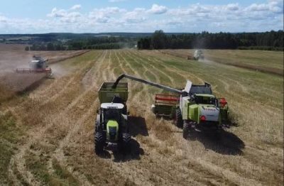 Калужская область нарастила сбор зерновых и зернобобовых на 17% Калужская область нарастила сбор зерновых и зернобобовых на 17%