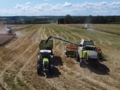 Калужская область нарастила сбор зерновых и зернобобовых на 17%