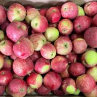 Калужские аграрии пошли еще на один рекорд Калужские аграрии пошли еще на один рекорд