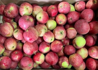 Калужские аграрии пошли еще на один рекорд Калужские аграрии пошли еще на один рекорд