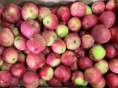 Калужские аграрии пошли еще на один рекорд