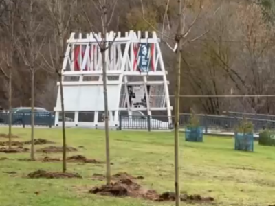 На набережной Яченского водохранилища появилась кленовая аллея