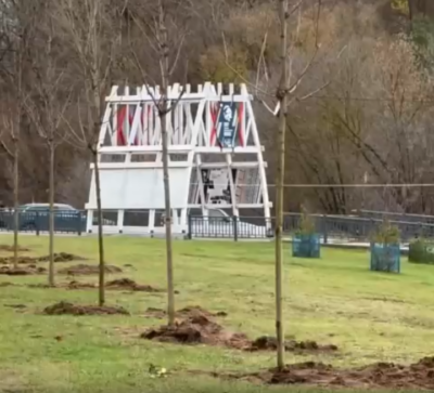 На набережной Яченского водохранилища появилась кленовая аллея На набережной Яченского водохранилища появилась кленовая аллея