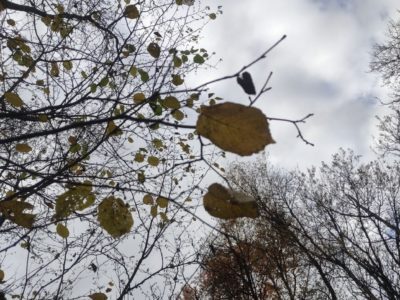 Калугу на праздники подмочит