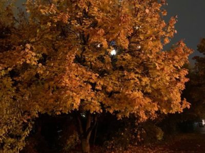 Переменная облачность и туман Переменная облачность и туман