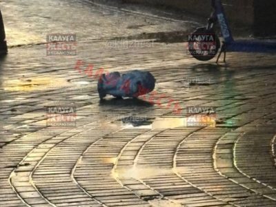 13-летней калужской школьнице придется ответить за порчу льва