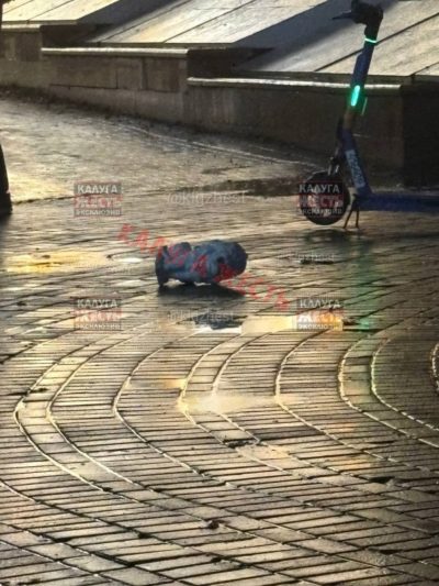 13-летней калужской школьнице придется ответить за порчу льва 13-летней калужской школьнице придется ответить за порчу льва