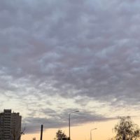 В Калуге ожидается небольшой дождь и до +20°С В Калуге ожидается небольшой дождь и до +20°С