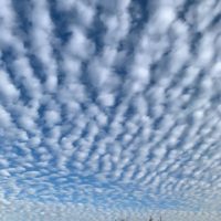 Погода в Калуге Погода в Калуге