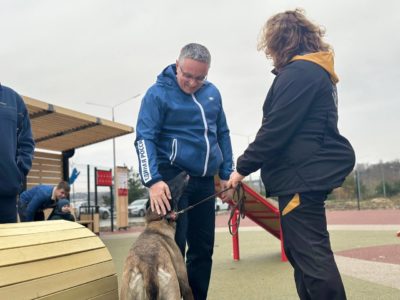 В Калуге у четвероногих друзей появилась новая площадка для тренировок