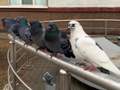 Погода в Калуге