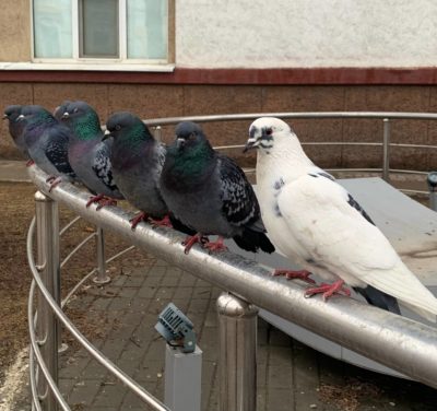 Погода в Калуге