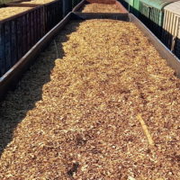 Калужская область импортировала 185 тысяч кубометров белорусской щепы Калужская область импортировала 185 тысяч кубометров белорусской щепы