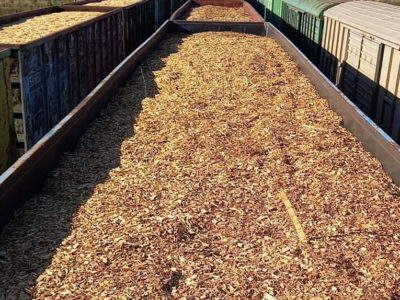 Калужская область импортировала 185 тысяч кубометров белорусской щепы