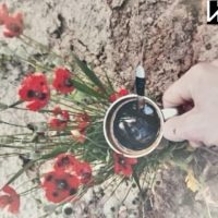 Маки на обожжённой земле